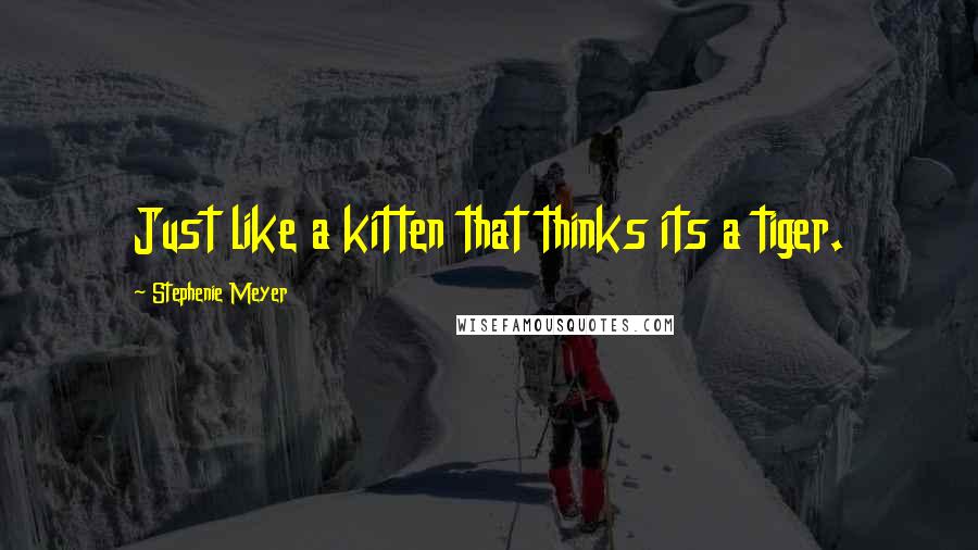 Stephenie Meyer Quotes: Just like a kitten that thinks its a tiger.