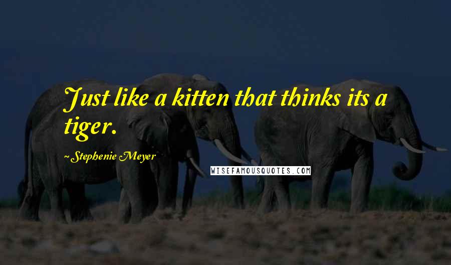 Stephenie Meyer Quotes: Just like a kitten that thinks its a tiger.