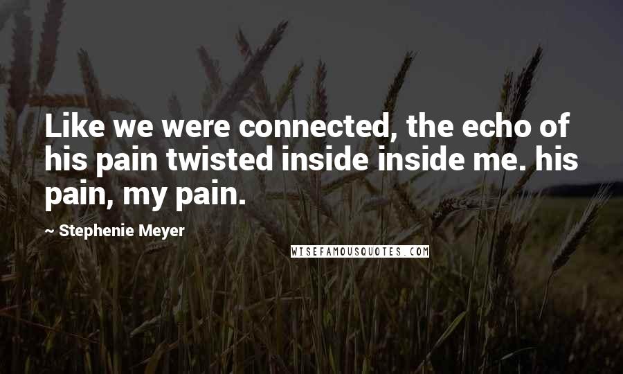 Stephenie Meyer Quotes: Like we were connected, the echo of his pain twisted inside inside me. his pain, my pain.