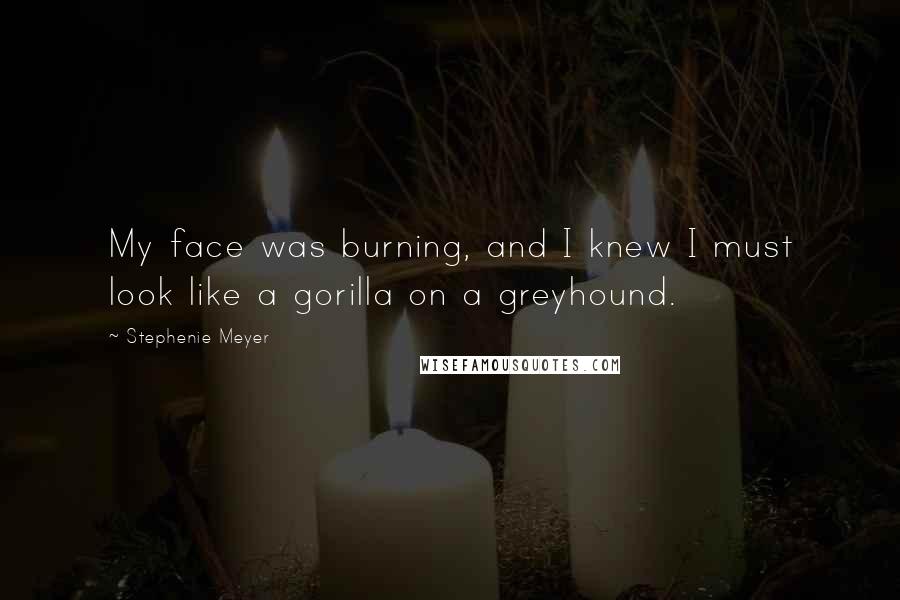 Stephenie Meyer Quotes: My face was burning, and I knew I must look like a gorilla on a greyhound.