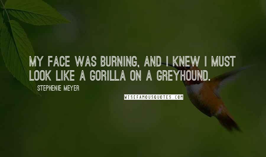 Stephenie Meyer Quotes: My face was burning, and I knew I must look like a gorilla on a greyhound.