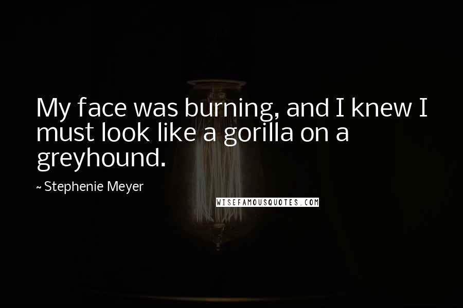 Stephenie Meyer Quotes: My face was burning, and I knew I must look like a gorilla on a greyhound.