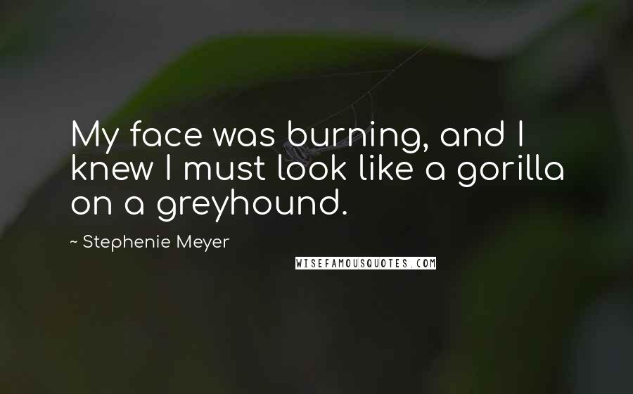 Stephenie Meyer Quotes: My face was burning, and I knew I must look like a gorilla on a greyhound.