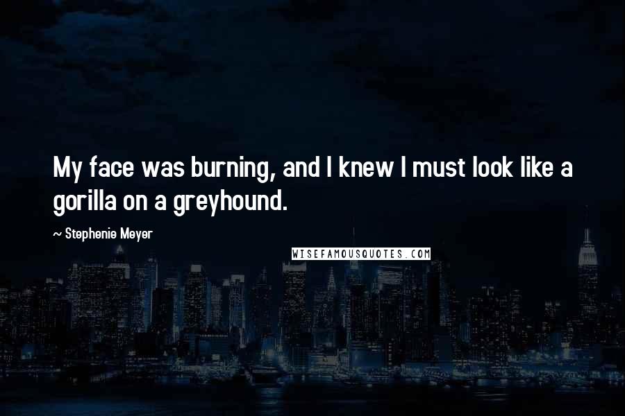 Stephenie Meyer Quotes: My face was burning, and I knew I must look like a gorilla on a greyhound.