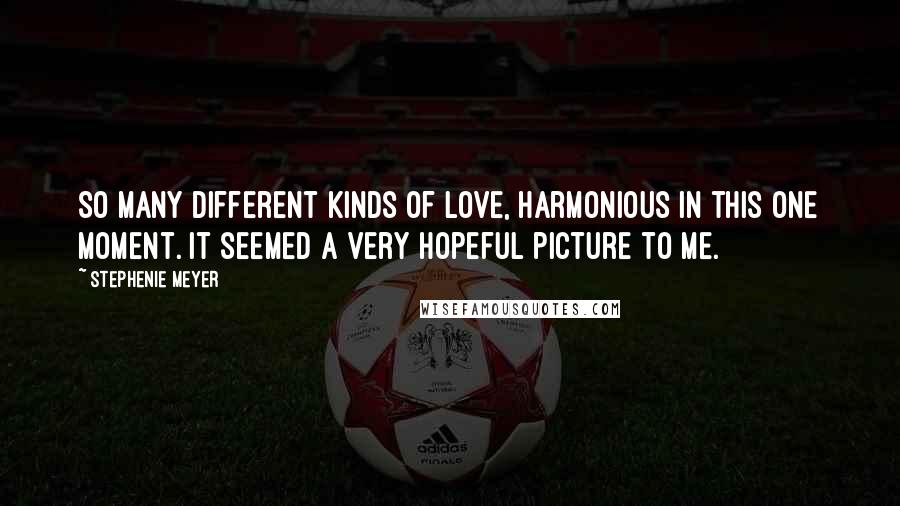 Stephenie Meyer Quotes: So many different kinds of love, harmonious in this one moment. It seemed a very hopeful picture to me.