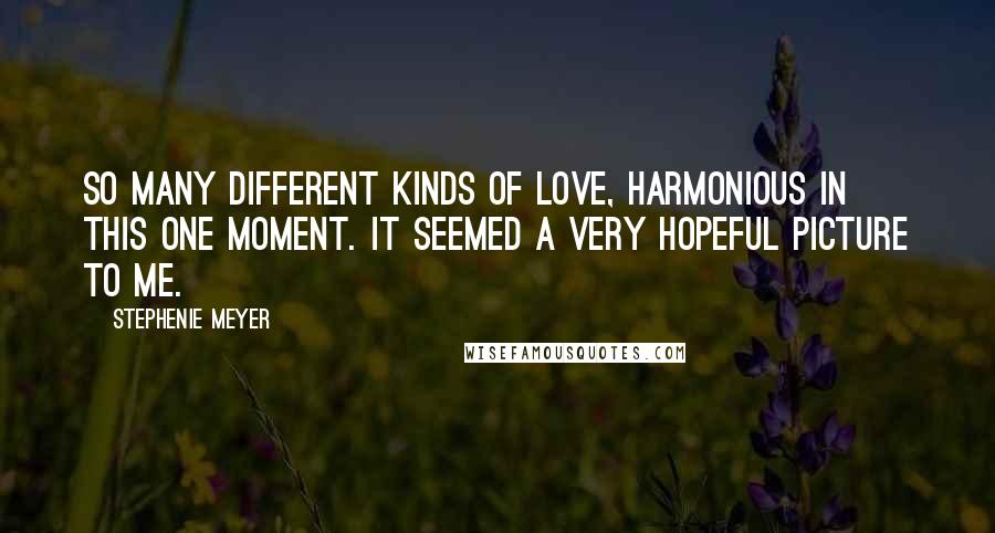 Stephenie Meyer Quotes: So many different kinds of love, harmonious in this one moment. It seemed a very hopeful picture to me.