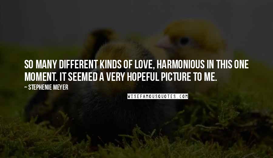 Stephenie Meyer Quotes: So many different kinds of love, harmonious in this one moment. It seemed a very hopeful picture to me.