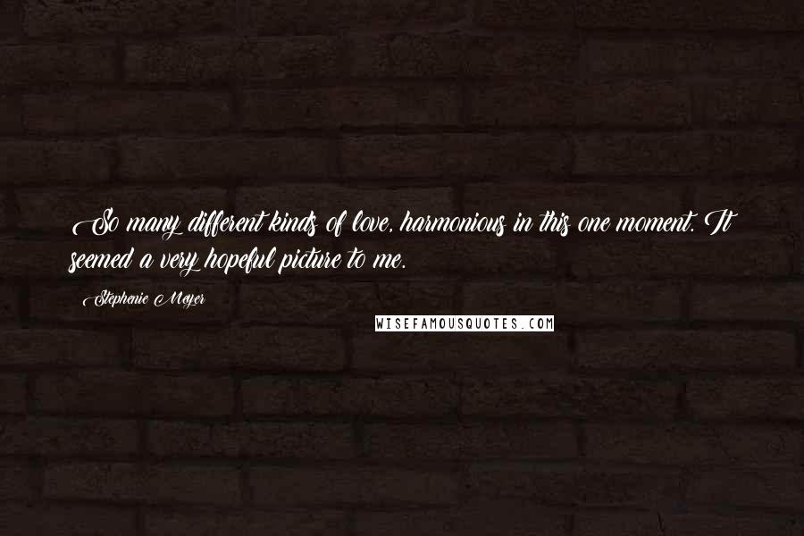 Stephenie Meyer Quotes: So many different kinds of love, harmonious in this one moment. It seemed a very hopeful picture to me.