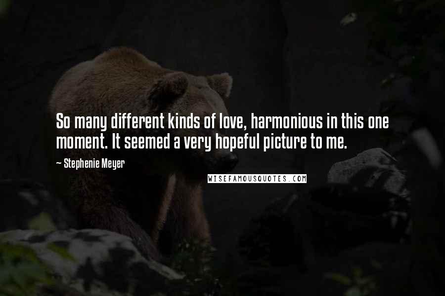 Stephenie Meyer Quotes: So many different kinds of love, harmonious in this one moment. It seemed a very hopeful picture to me.