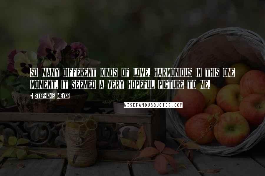Stephenie Meyer Quotes: So many different kinds of love, harmonious in this one moment. It seemed a very hopeful picture to me.