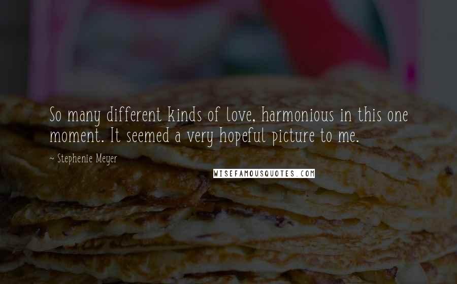 Stephenie Meyer Quotes: So many different kinds of love, harmonious in this one moment. It seemed a very hopeful picture to me.