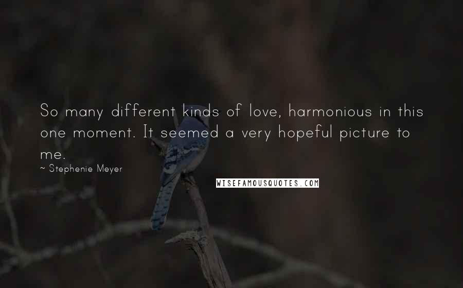 Stephenie Meyer Quotes: So many different kinds of love, harmonious in this one moment. It seemed a very hopeful picture to me.