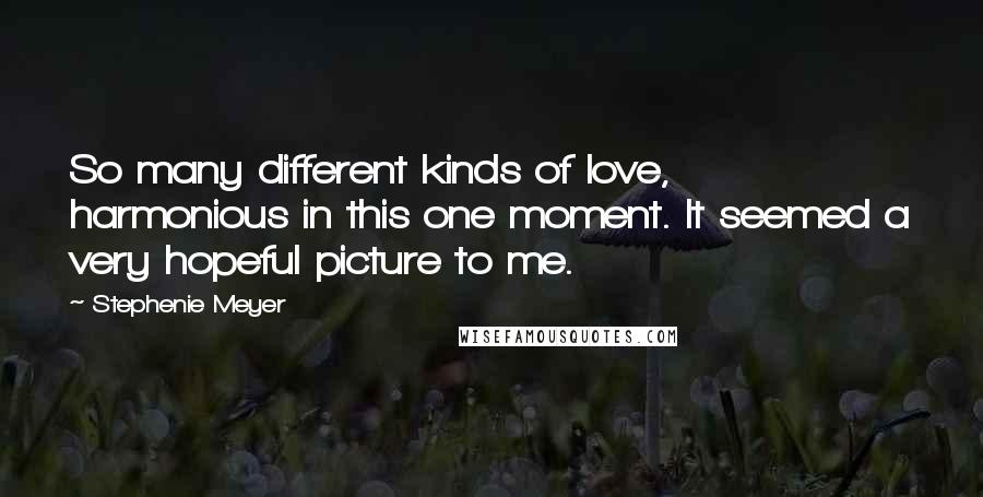 Stephenie Meyer Quotes: So many different kinds of love, harmonious in this one moment. It seemed a very hopeful picture to me.