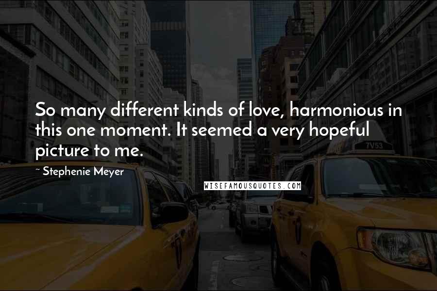 Stephenie Meyer Quotes: So many different kinds of love, harmonious in this one moment. It seemed a very hopeful picture to me.