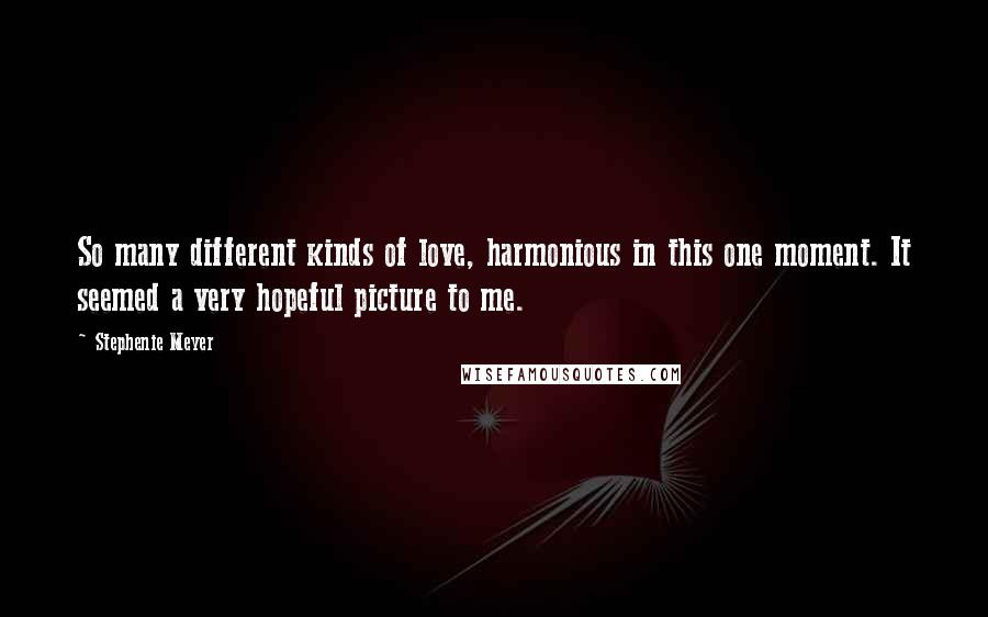 Stephenie Meyer Quotes: So many different kinds of love, harmonious in this one moment. It seemed a very hopeful picture to me.
