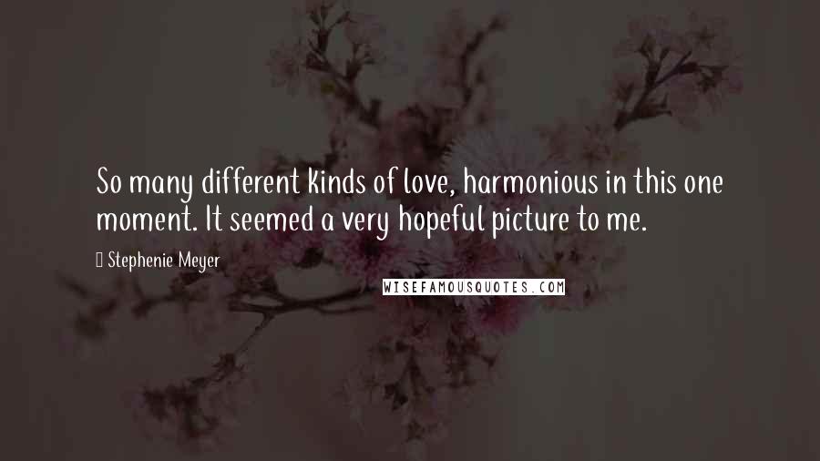 Stephenie Meyer Quotes: So many different kinds of love, harmonious in this one moment. It seemed a very hopeful picture to me.