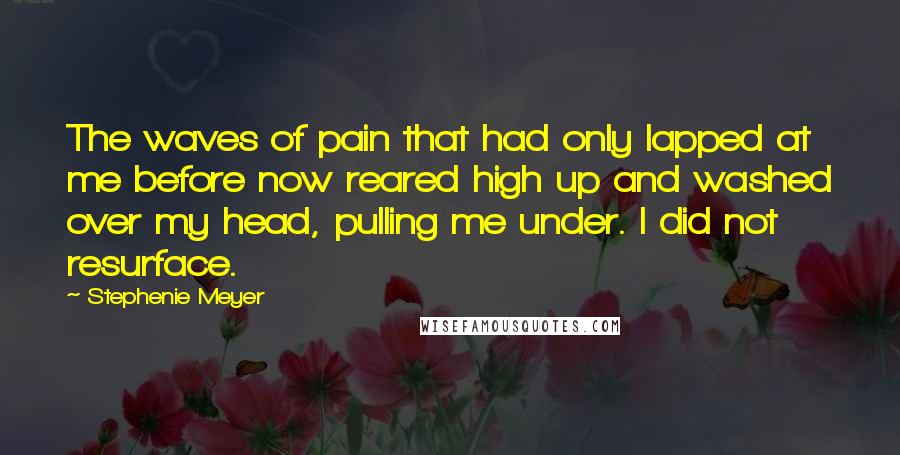 Stephenie Meyer Quotes: The waves of pain that had only lapped at me before now reared high up and washed over my head, pulling me under. I did not resurface.