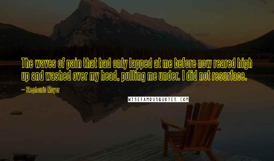 Stephenie Meyer Quotes: The waves of pain that had only lapped at me before now reared high up and washed over my head, pulling me under. I did not resurface.
