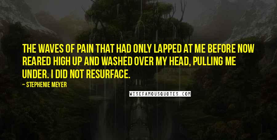 Stephenie Meyer Quotes: The waves of pain that had only lapped at me before now reared high up and washed over my head, pulling me under. I did not resurface.