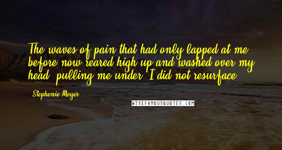 Stephenie Meyer Quotes: The waves of pain that had only lapped at me before now reared high up and washed over my head, pulling me under. I did not resurface.