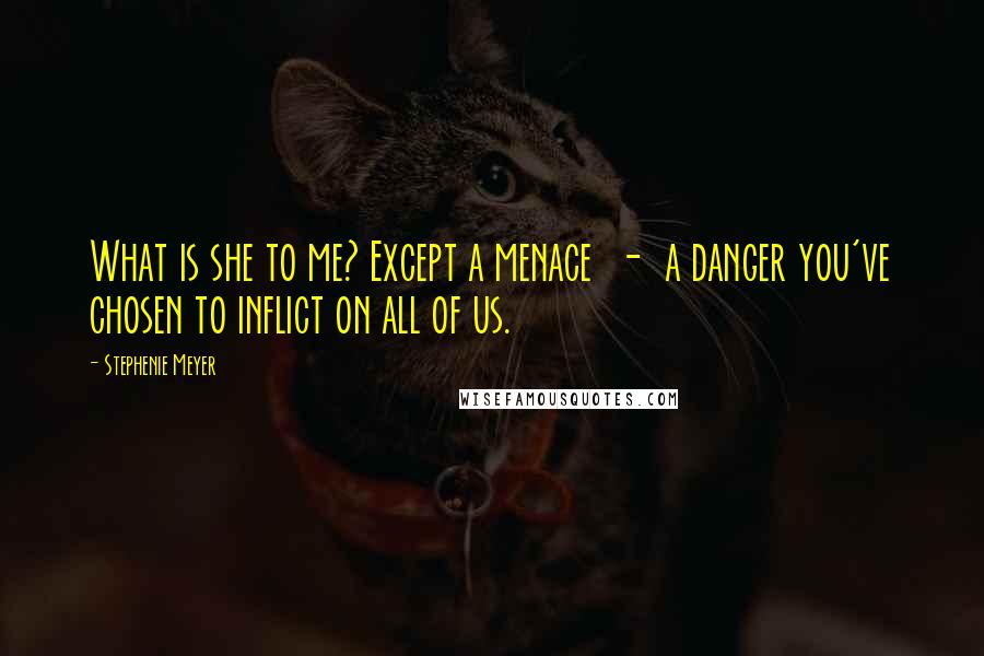 Stephenie Meyer Quotes: What is she to me? Except a menace  -  a danger you've chosen to inflict on all of us.