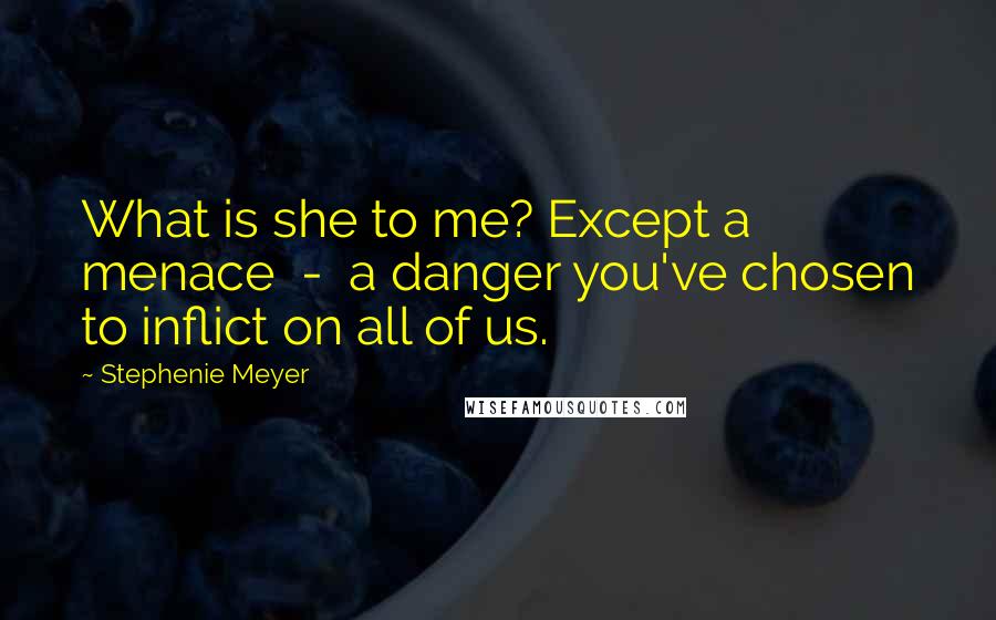 Stephenie Meyer Quotes: What is she to me? Except a menace  -  a danger you've chosen to inflict on all of us.