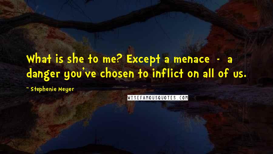 Stephenie Meyer Quotes: What is she to me? Except a menace  -  a danger you've chosen to inflict on all of us.