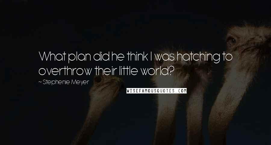Stephenie Meyer Quotes: What plan did he think I was hatching to overthrow their little world?