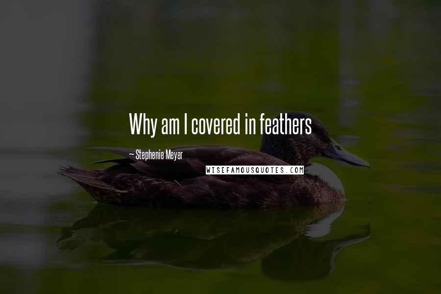 Stephenie Meyer Quotes: Why am I covered in feathers