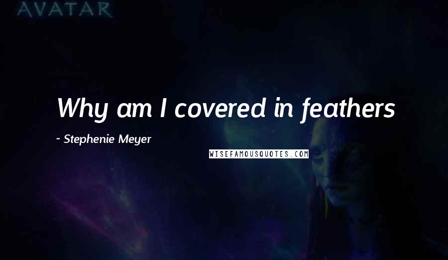 Stephenie Meyer Quotes: Why am I covered in feathers