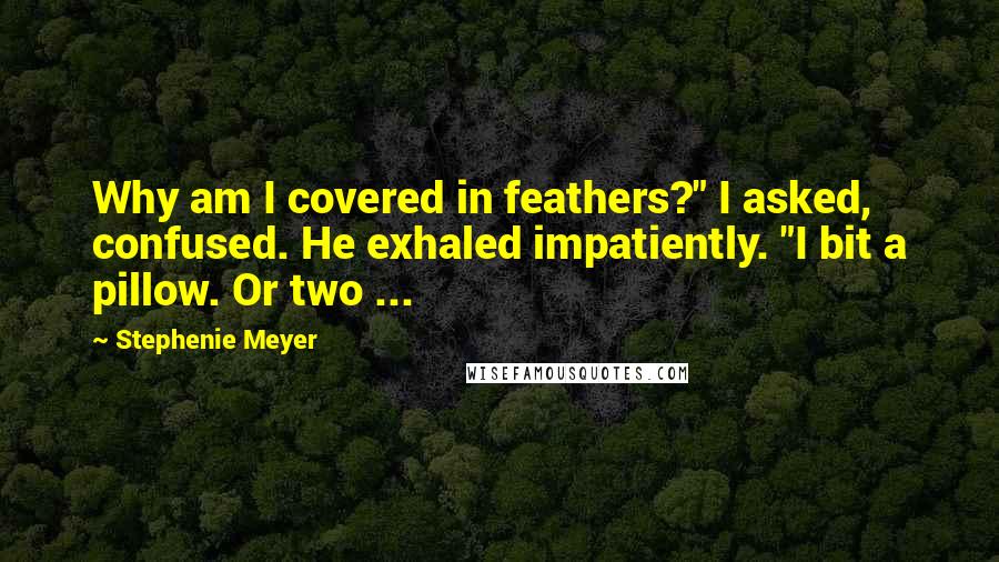 Stephenie Meyer Quotes: Why am I covered in feathers?" I asked, confused. He exhaled impatiently. "I bit a pillow. Or two ...