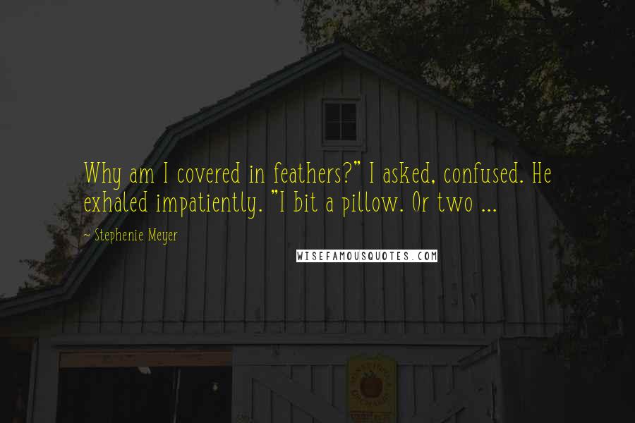 Stephenie Meyer Quotes: Why am I covered in feathers?" I asked, confused. He exhaled impatiently. "I bit a pillow. Or two ...
