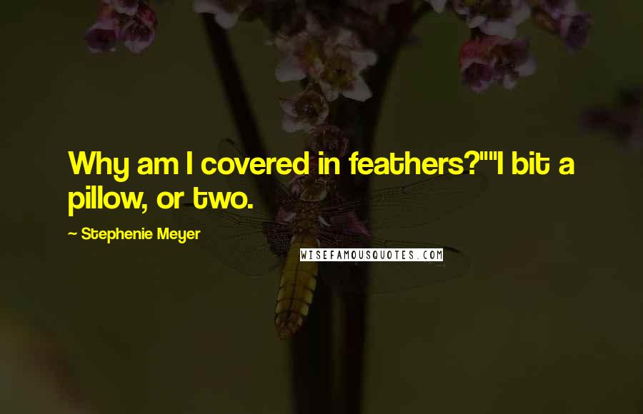 Stephenie Meyer Quotes: Why am I covered in feathers?""I bit a pillow, or two.