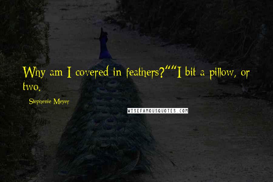 Stephenie Meyer Quotes: Why am I covered in feathers?""I bit a pillow, or two.