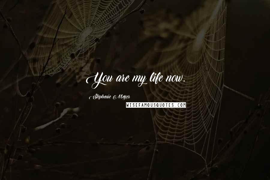 Stephenie Meyer Quotes: You are my life now.