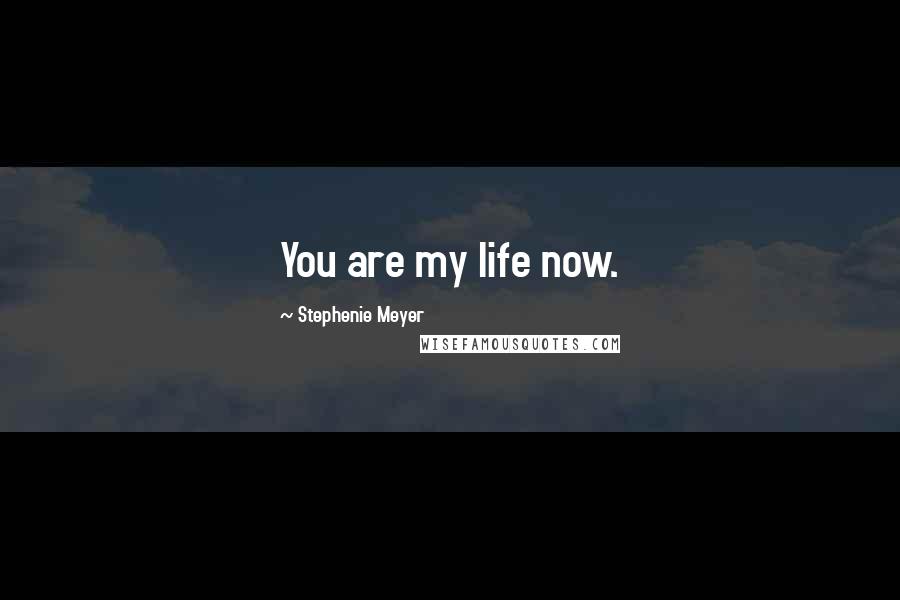 Stephenie Meyer Quotes: You are my life now.