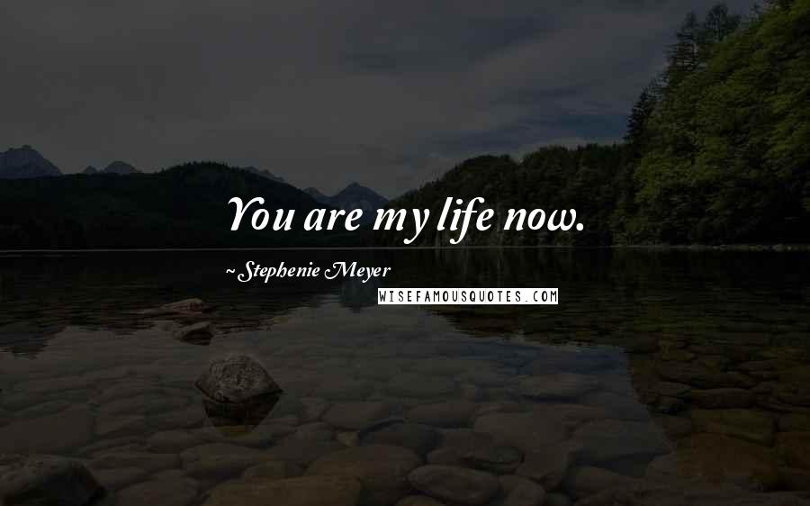 Stephenie Meyer Quotes: You are my life now.