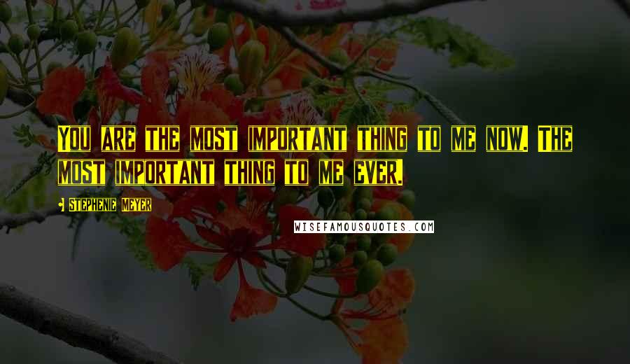 Stephenie Meyer Quotes: You are the most important thing to me now. The most important thing to me ever.