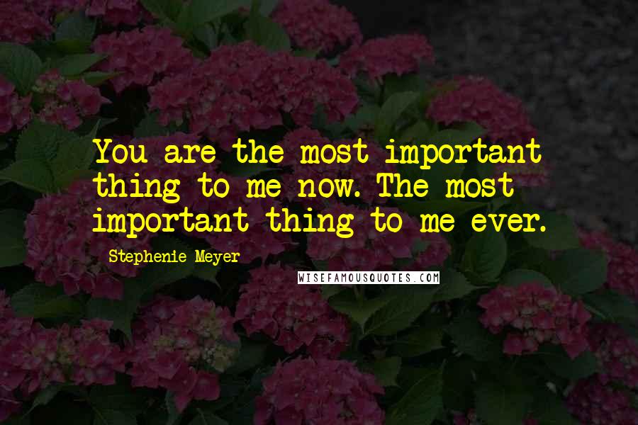 Stephenie Meyer Quotes: You are the most important thing to me now. The most important thing to me ever.