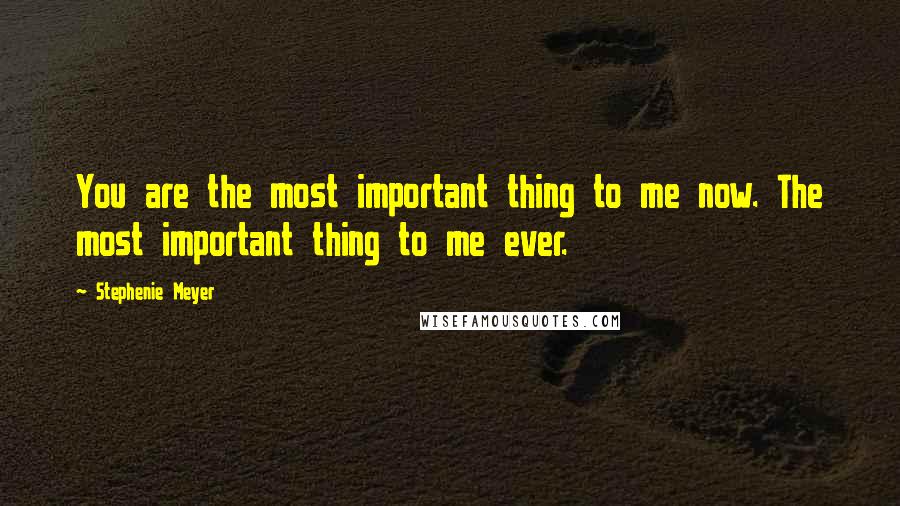 Stephenie Meyer Quotes: You are the most important thing to me now. The most important thing to me ever.