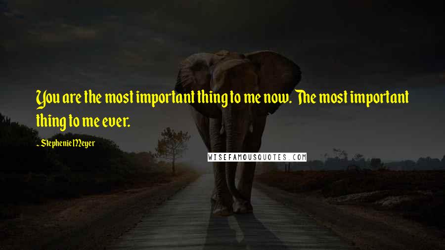 Stephenie Meyer Quotes: You are the most important thing to me now. The most important thing to me ever.