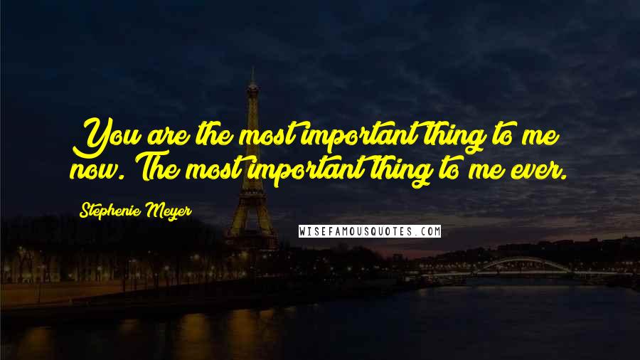 Stephenie Meyer Quotes: You are the most important thing to me now. The most important thing to me ever.