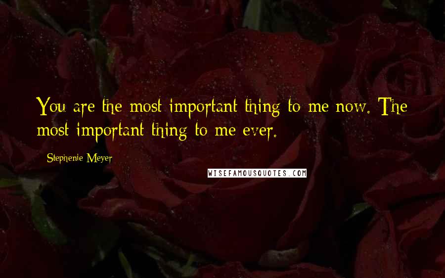 Stephenie Meyer Quotes: You are the most important thing to me now. The most important thing to me ever.