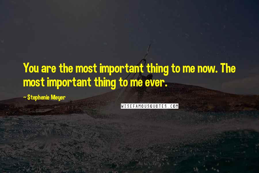 Stephenie Meyer Quotes: You are the most important thing to me now. The most important thing to me ever.