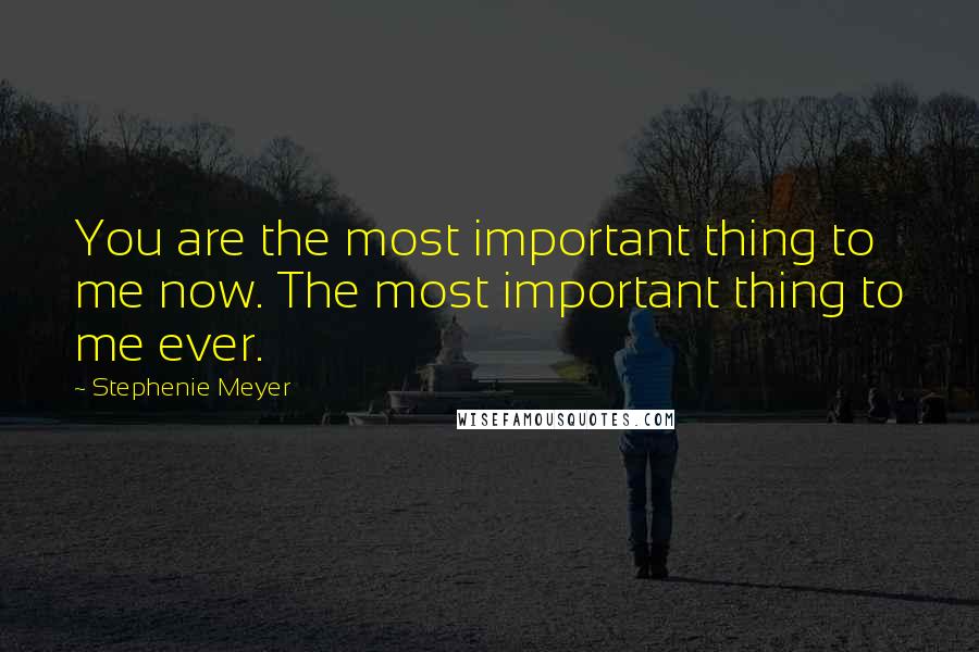 Stephenie Meyer Quotes: You are the most important thing to me now. The most important thing to me ever.