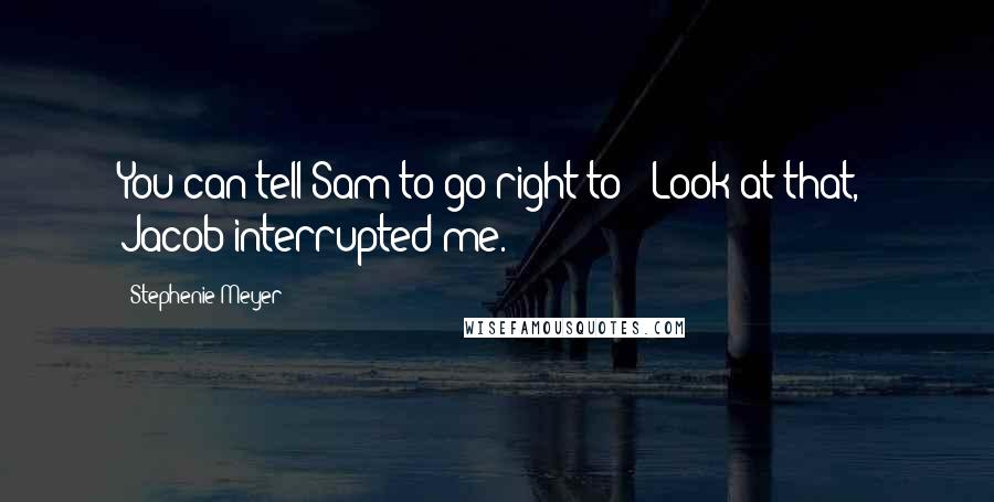 Stephenie Meyer Quotes: You can tell Sam to go right to-''Look at that,' Jacob interrupted me.