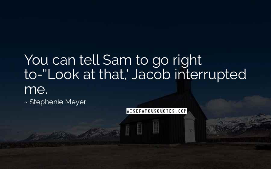 Stephenie Meyer Quotes: You can tell Sam to go right to-''Look at that,' Jacob interrupted me.