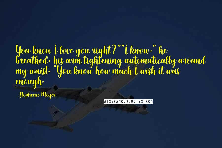 Stephenie Meyer Quotes: You know I love you right?""I know," he breathed, his arm tightening automatically around my waist. "You know how much I wish it was enough.