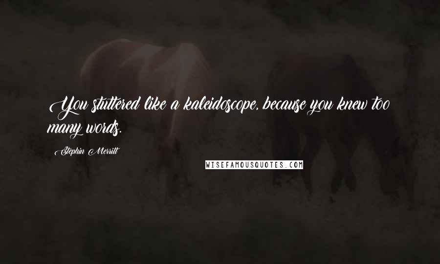 Stephin Merritt Quotes: You stuttered like a kaleidoscope, because you knew too many words.