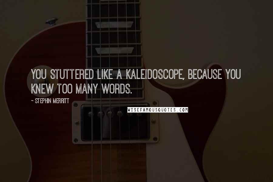 Stephin Merritt Quotes: You stuttered like a kaleidoscope, because you knew too many words.